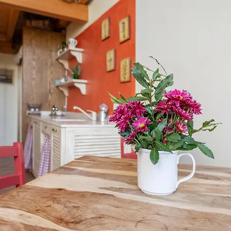 Cantarane Фермерский дом